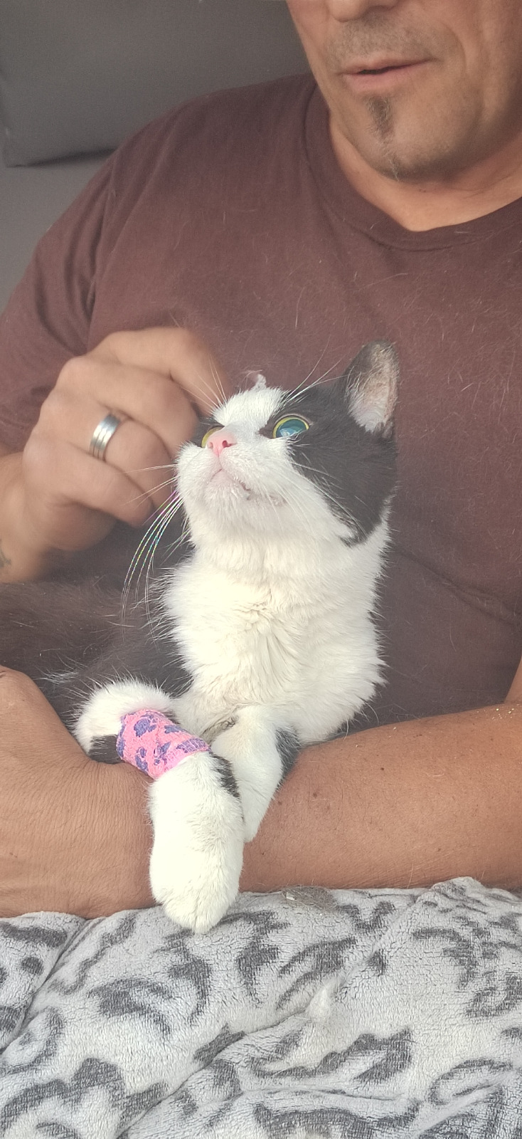 Tierliebe